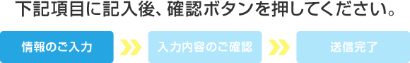 下記項目に記入後、確認ボタンを押してください。
